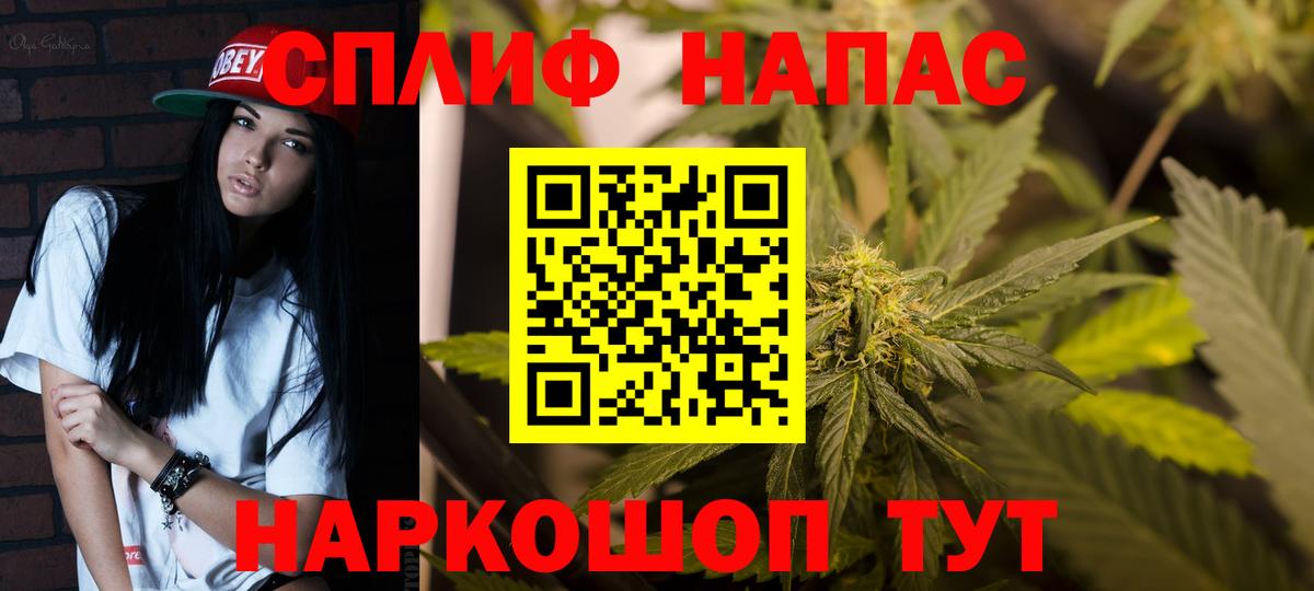 Каннабис OG Kush Дагестанские Огни